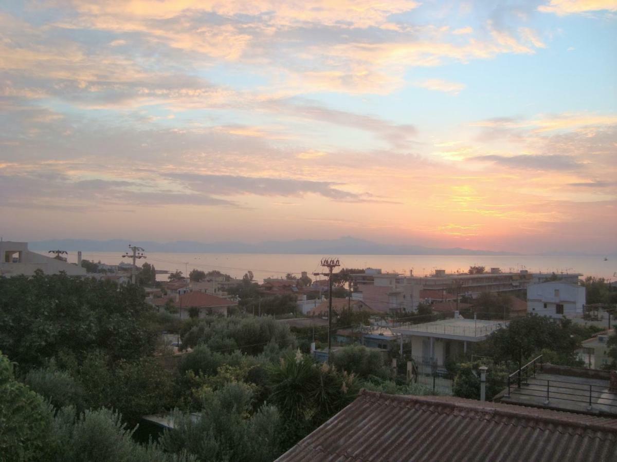 Smile House Near Athens Airport 300M From The Sea Villa Artemida  Exteriör bild