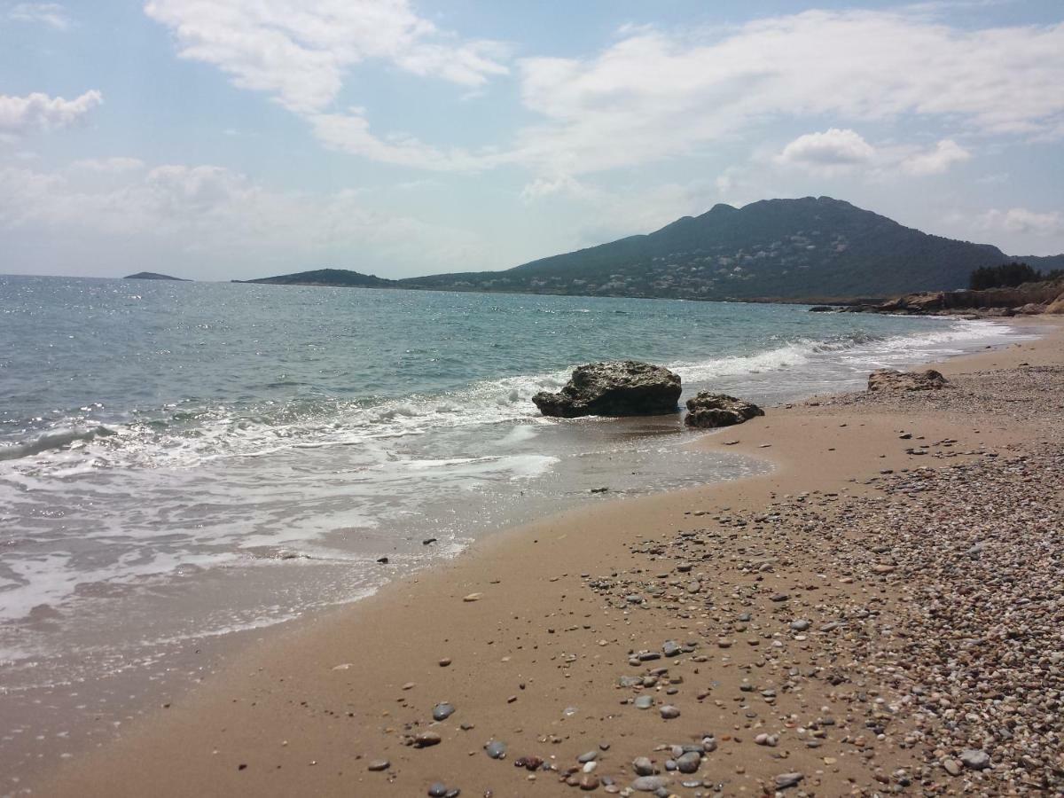 Smile House Near Athens Airport 300M From The Sea Villa Artemida  Exteriör bild
