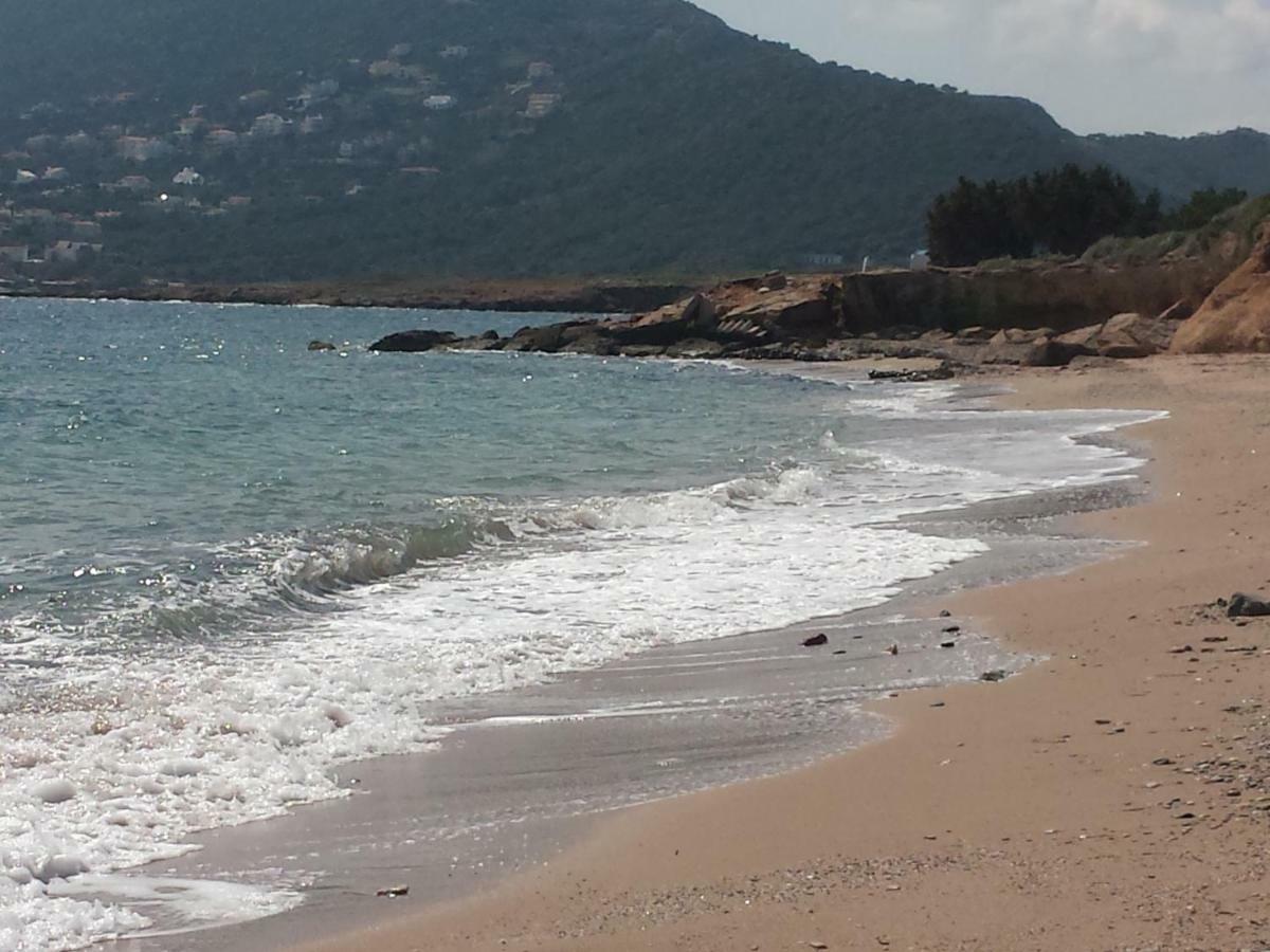 Smile House Near Athens Airport 300M From The Sea Villa Artemida  Exteriör bild